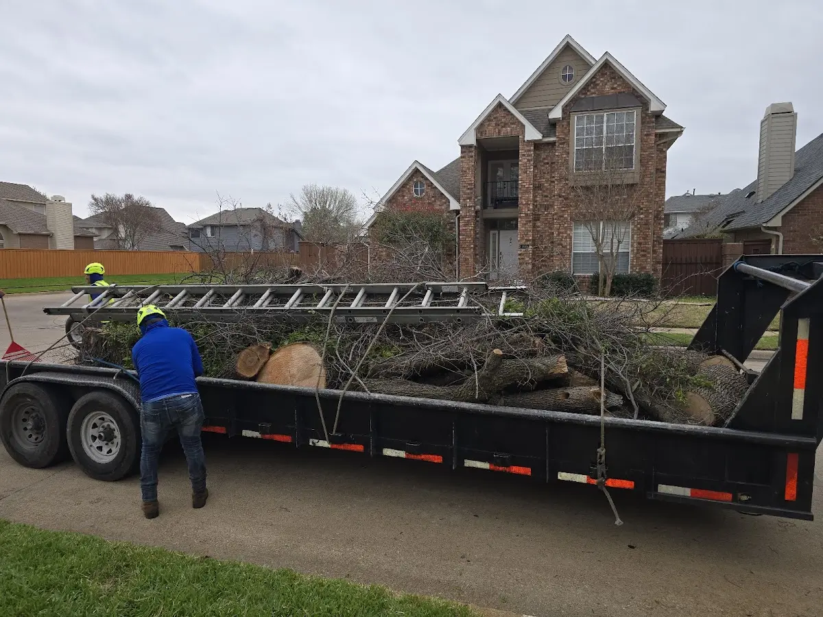Expert Tree Fertilization with proper safety equipment in Tucumcari